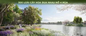 300 cay loai hoa dua nhau no khap 4 mua