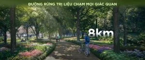 duong rung tri lieu cham moi giac quan