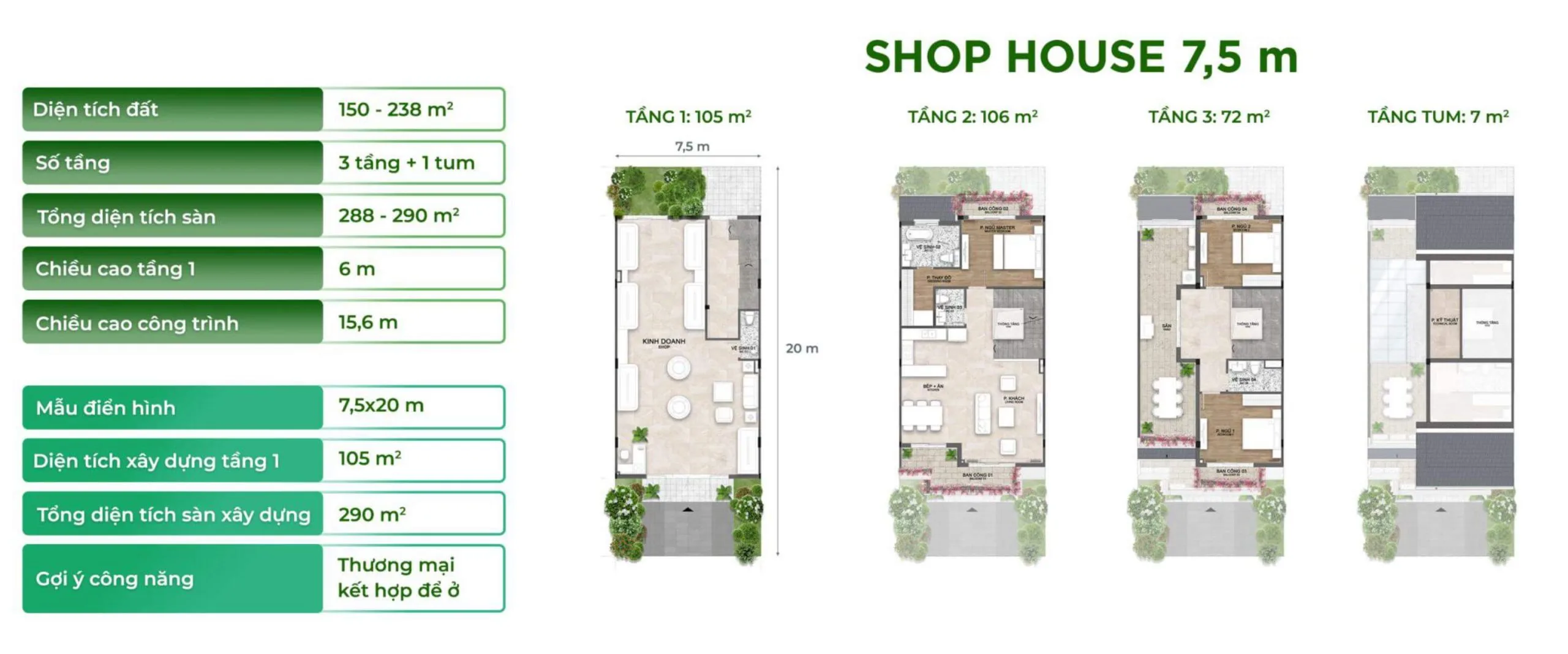 layout thiết kế shophouse 7,5m