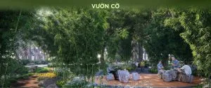 vuon co